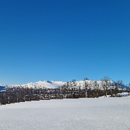 Informasjon
